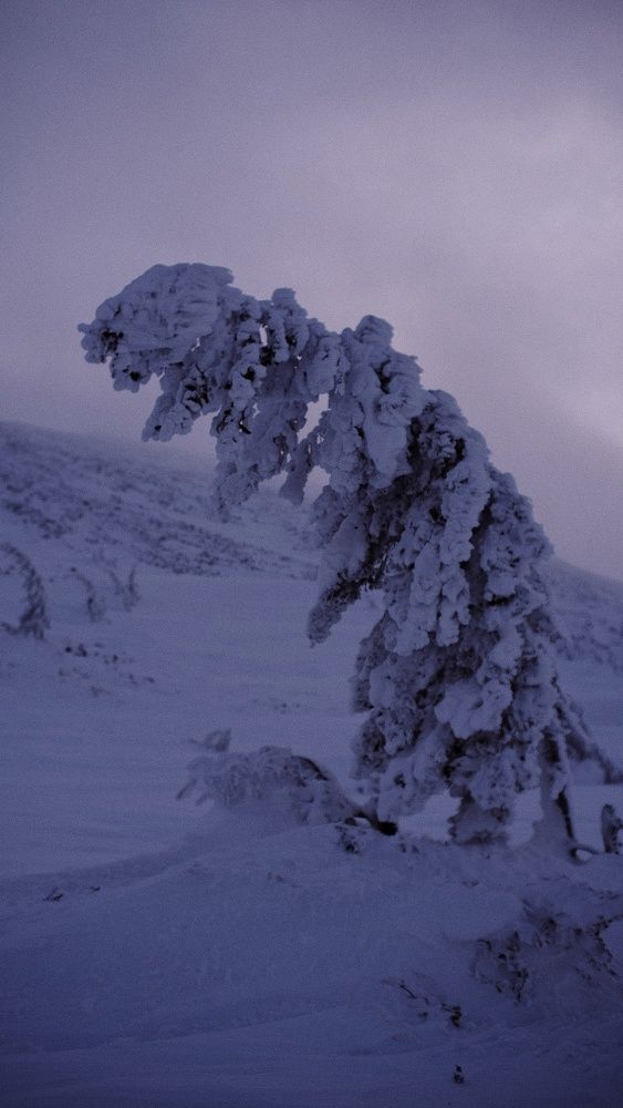 Photograph by Антон Е