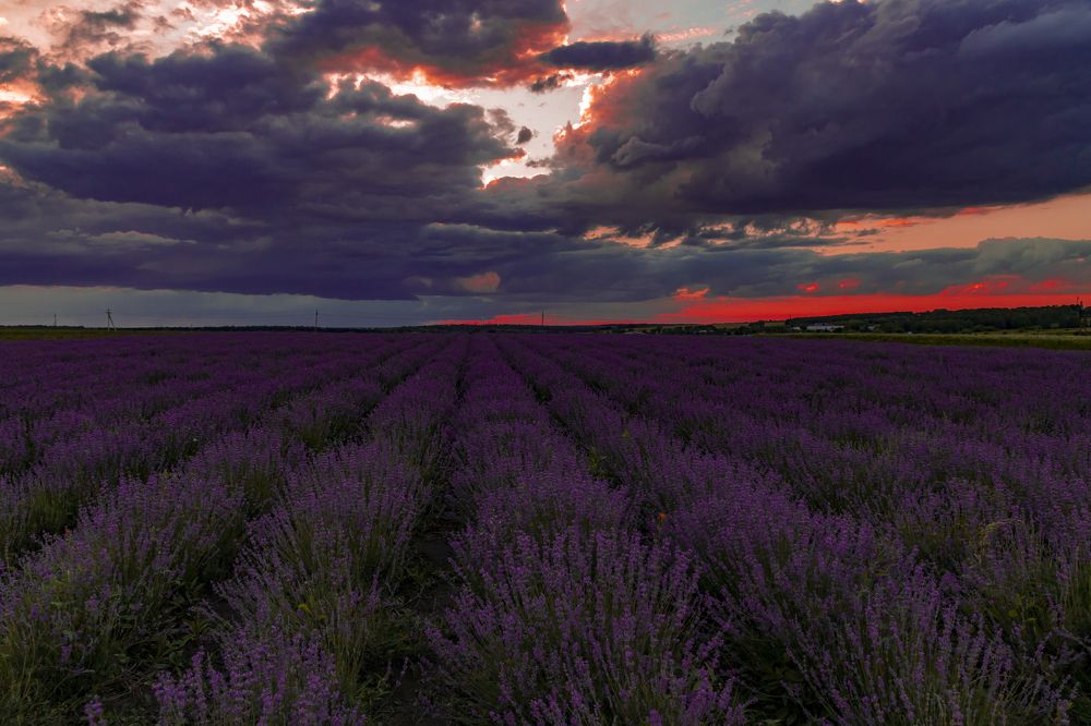 Photograph by Анастасия Малахова