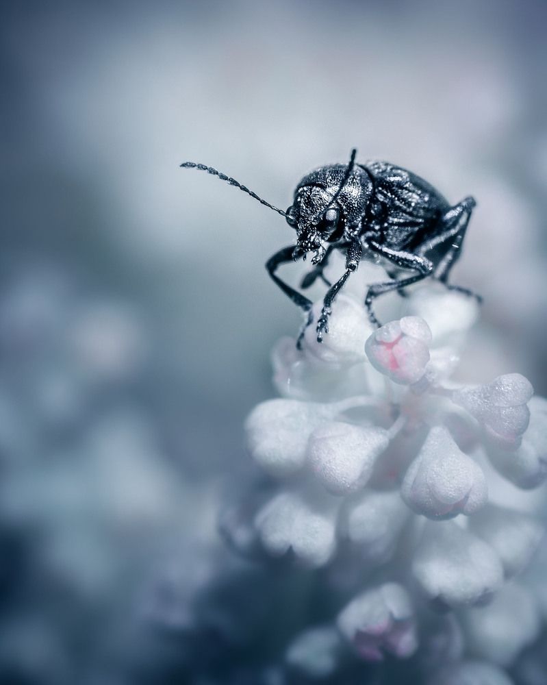 Photograph by Victor Stepanov