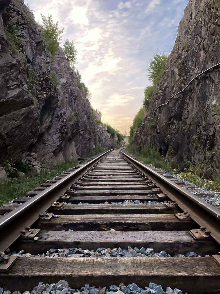 Фотография автора Дарья