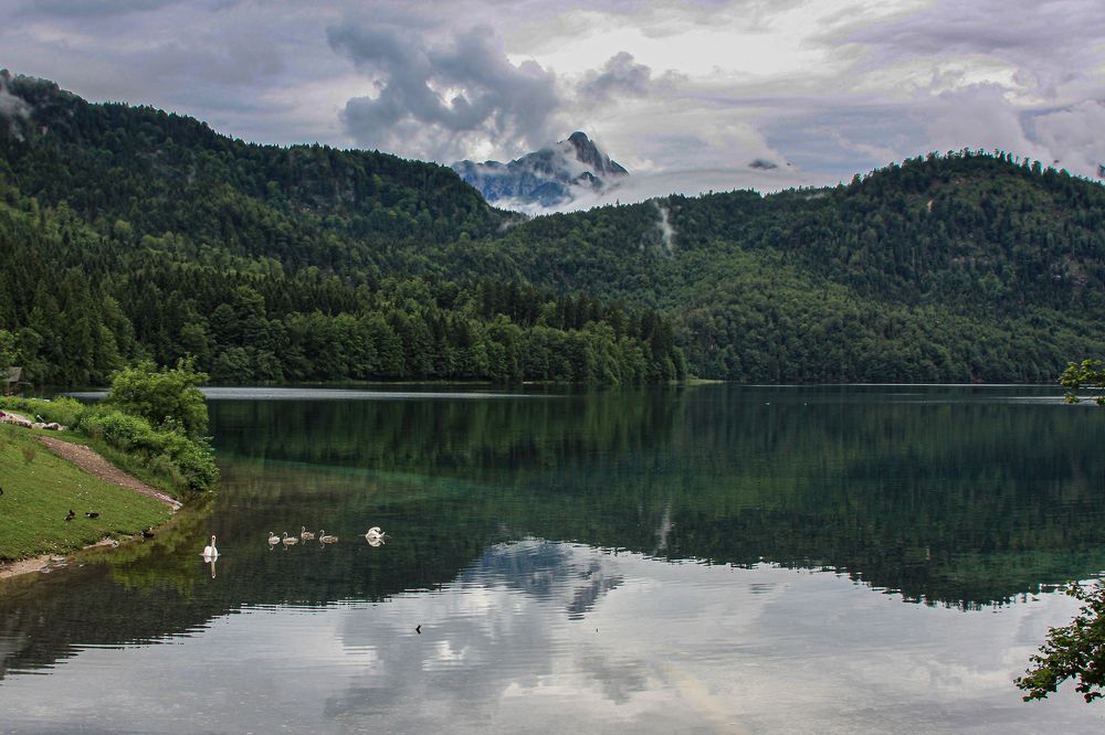 Photograph by Анатолий Мигов