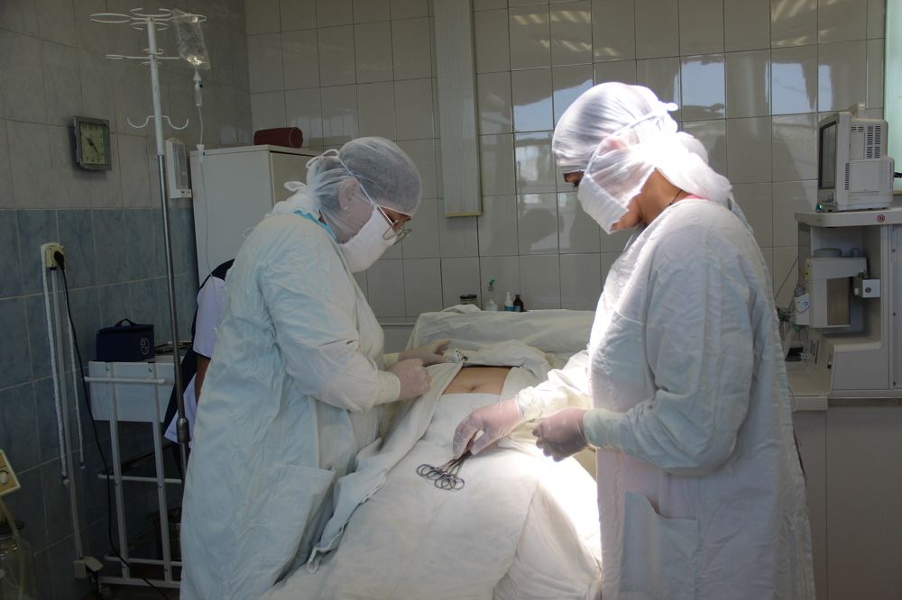 Photograph by Шулунова Стелла