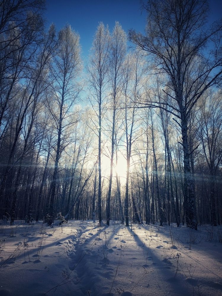 Photograph by Андрей Анкудинов