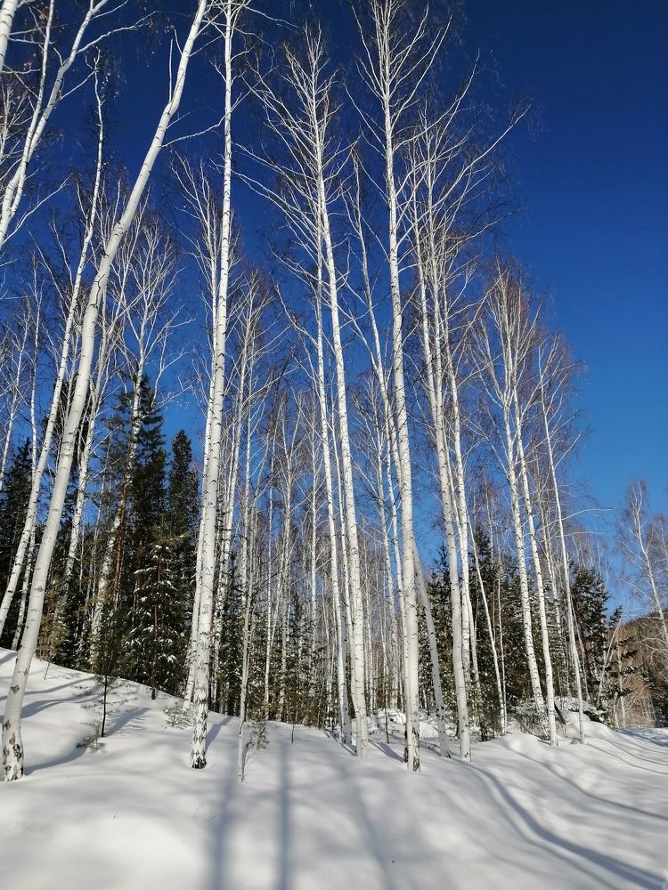 Photograph by Светлана Кудянова