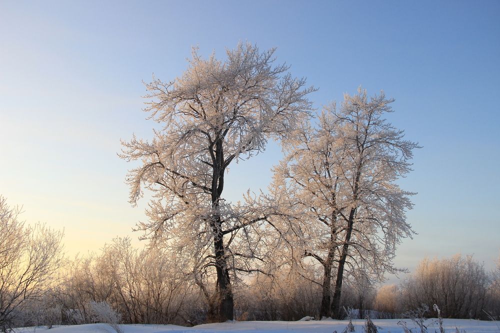 Photograph by Ольга Короткова