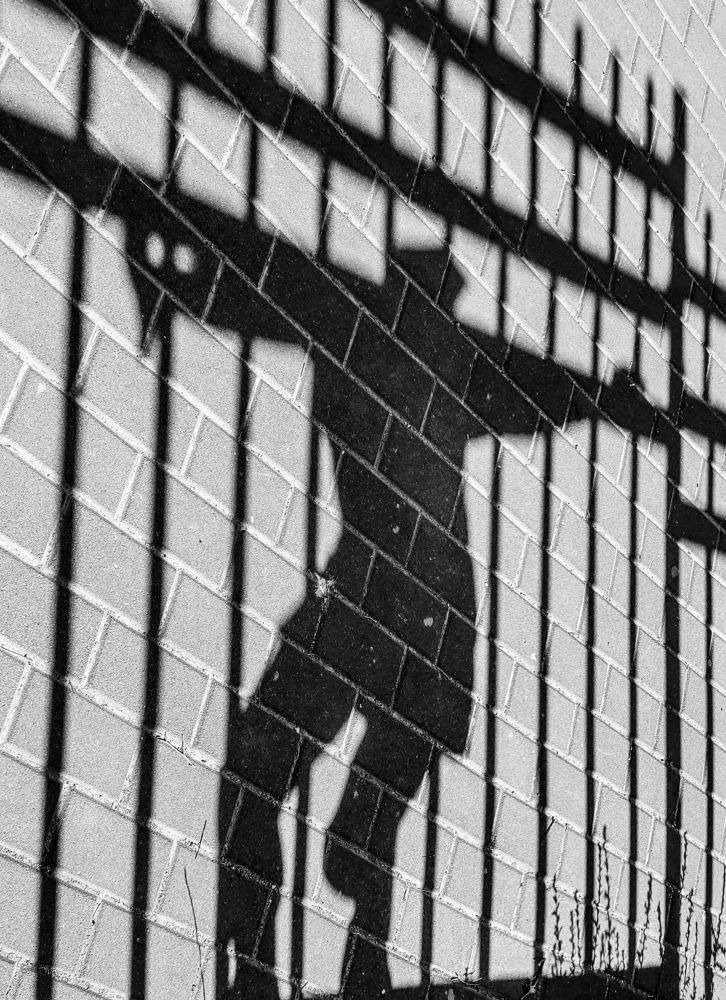 Photograph by Михаил Заброцкий