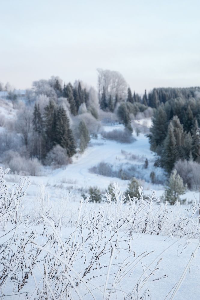 Photograph by Екатерина Родченкова