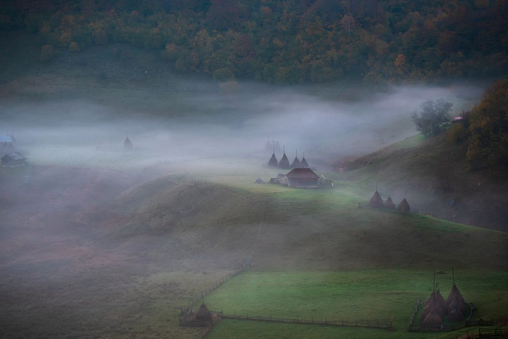 Photograph by Hoandra Ilie