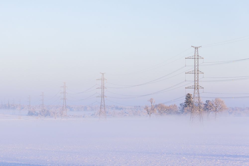 Photograph by Terēze Štube