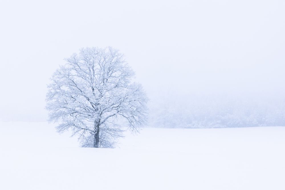 Photograph by Terēze Štube