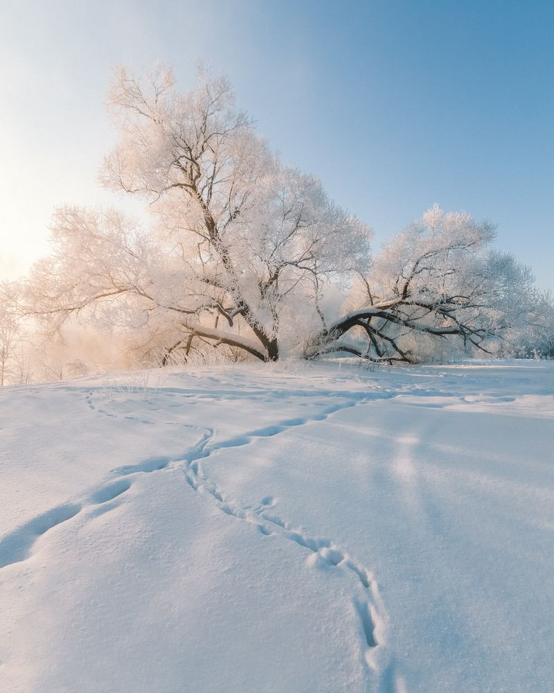 Photograph by Андрей Белавин