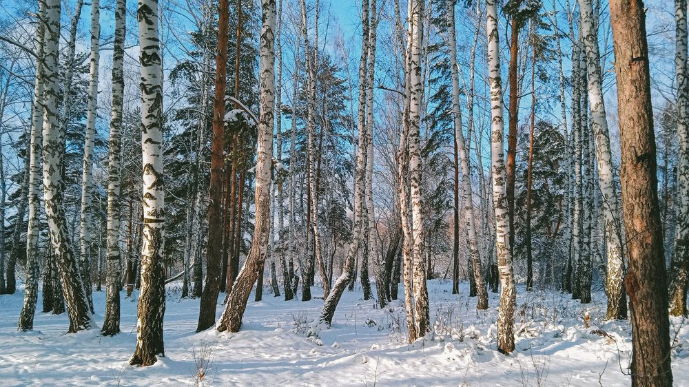 Photograph by Юлия Ипполитова