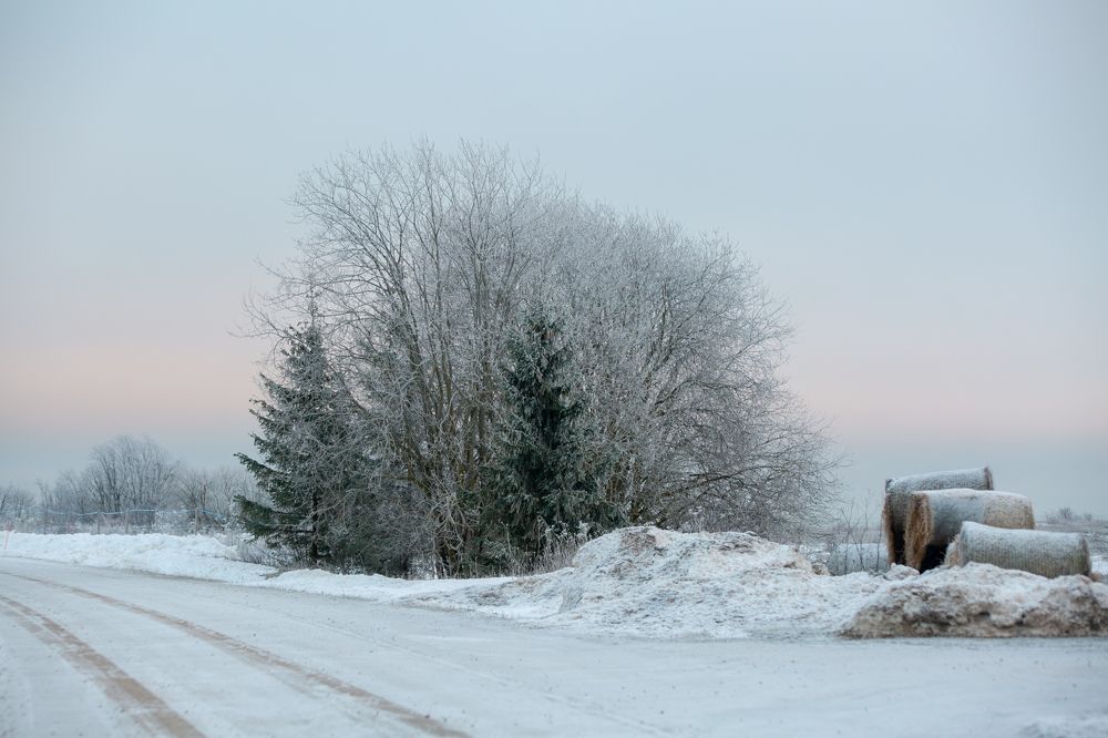 Photograph by Наталья Катюжанская