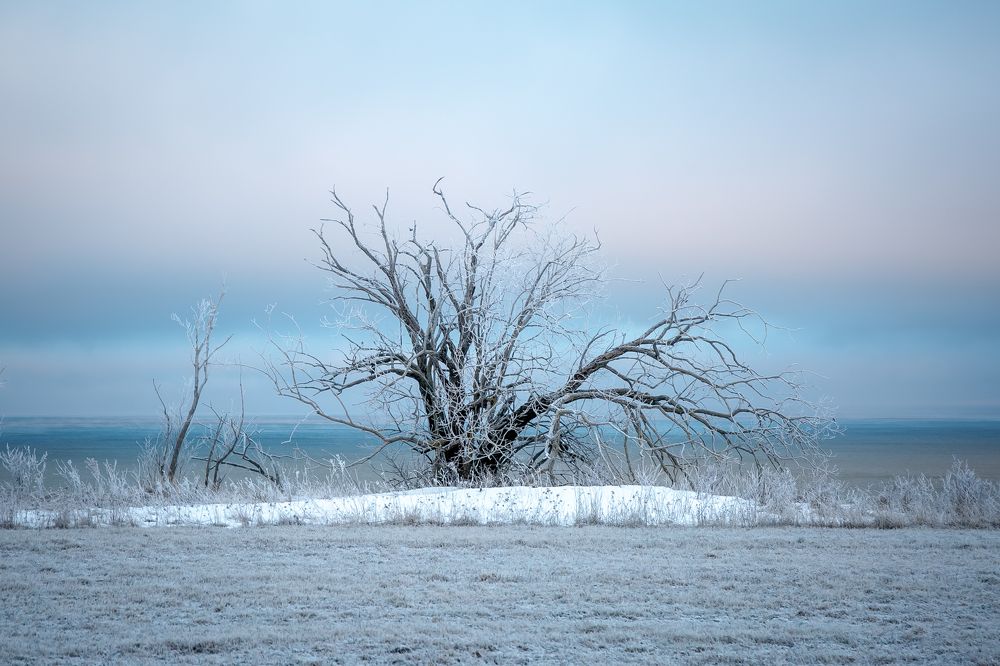 Photograph by Наталья Катюжанская