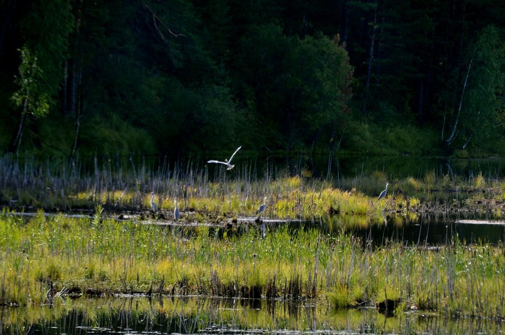 Photograph by Nadezhda