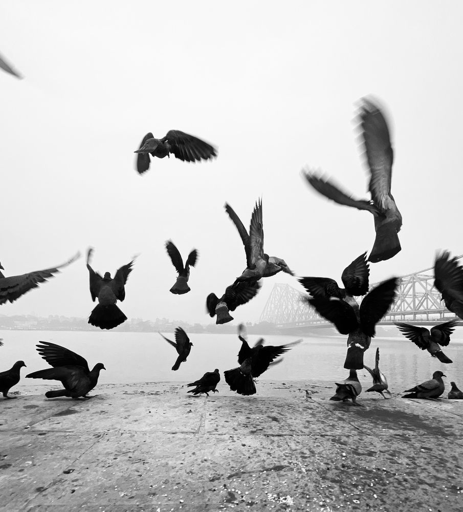 Photograph by Ankit Banerjee