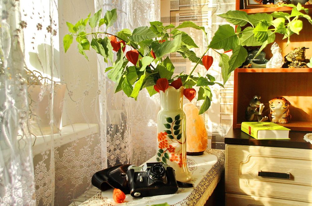 Photograph by Виталий Симоненков