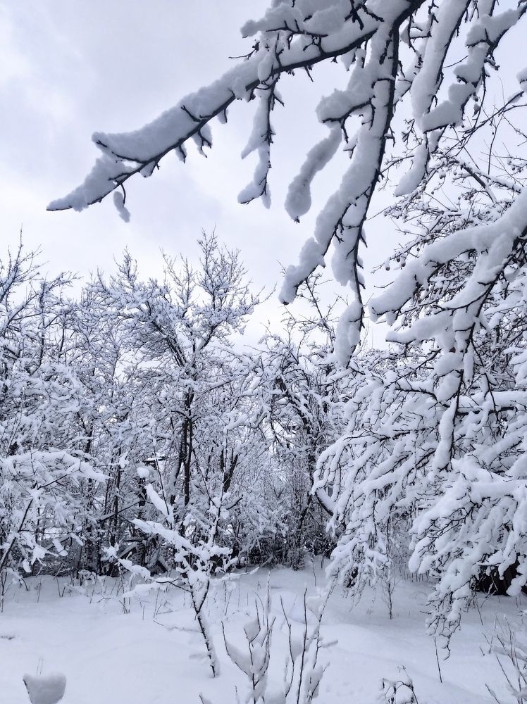 Photograph by Надежда Болтунова