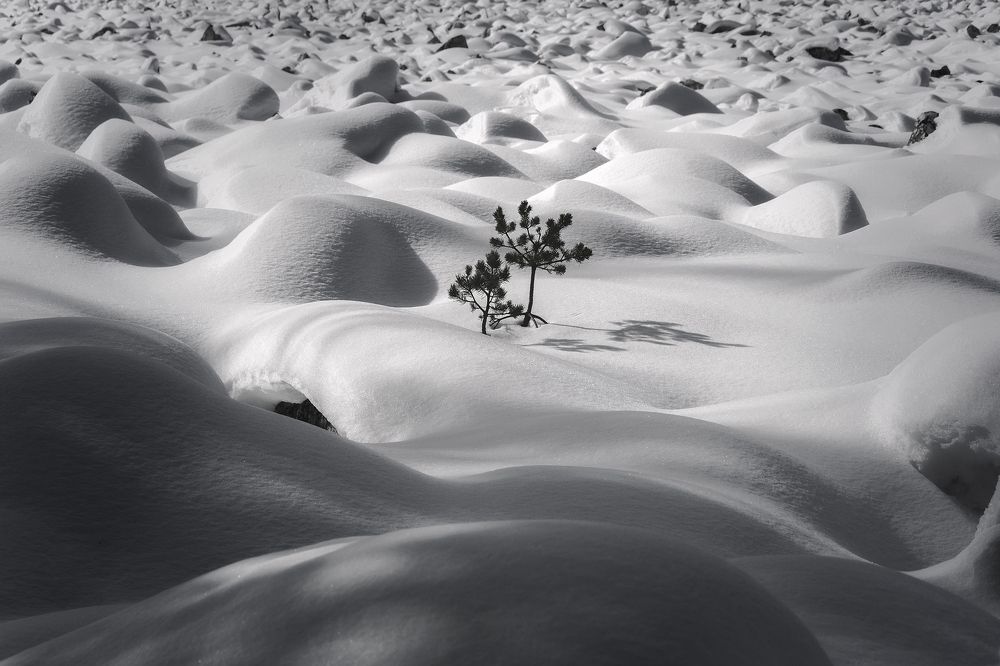 Все воздушною снежностью спит...
