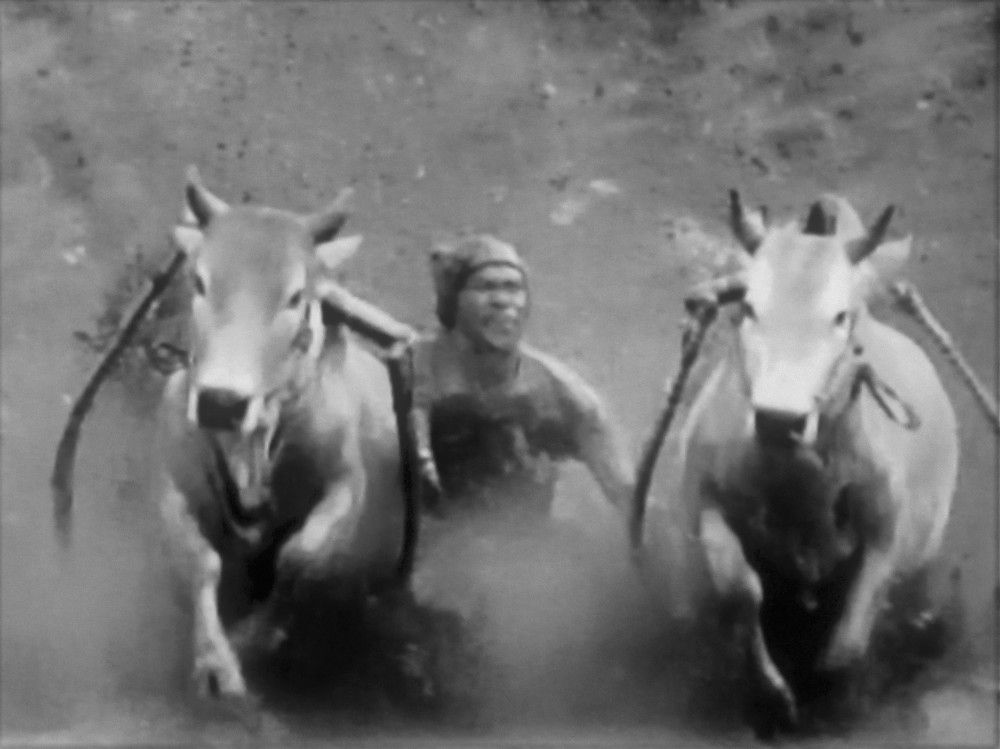 Photograph by Галина