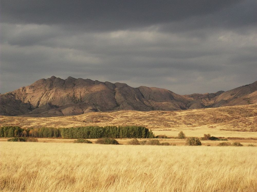 Photograph by Кот Оберон