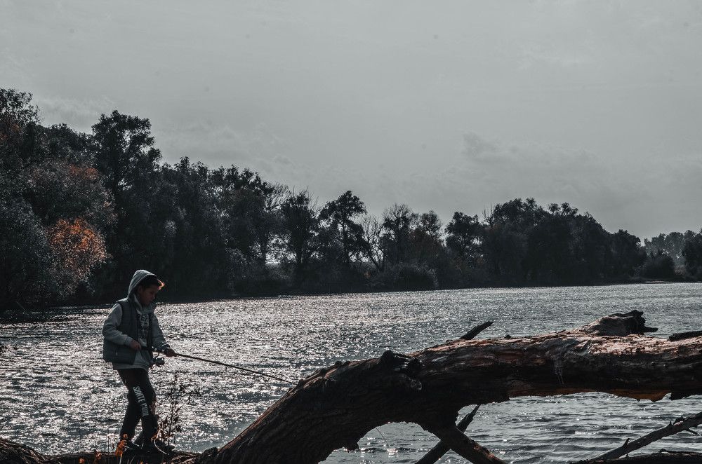 Photograph by Дмитрий Педченко