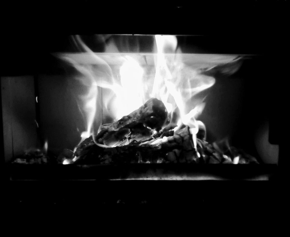 Photograph by Татьяна Пальчикова