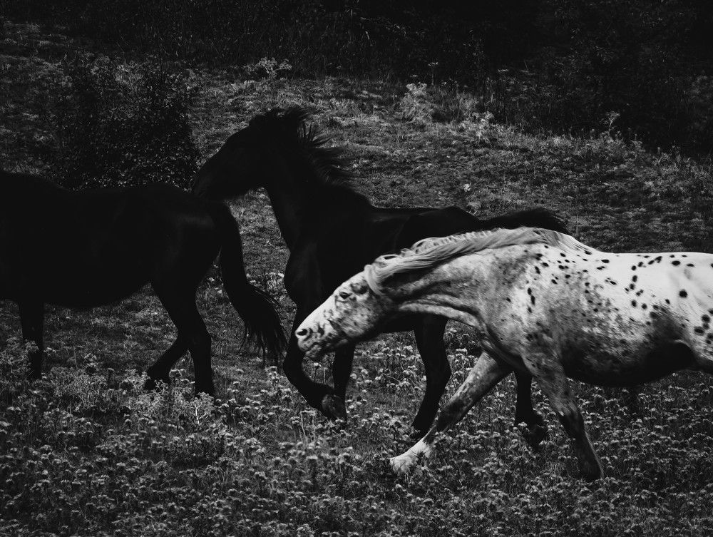 Photograph by Giuseppe Catalano