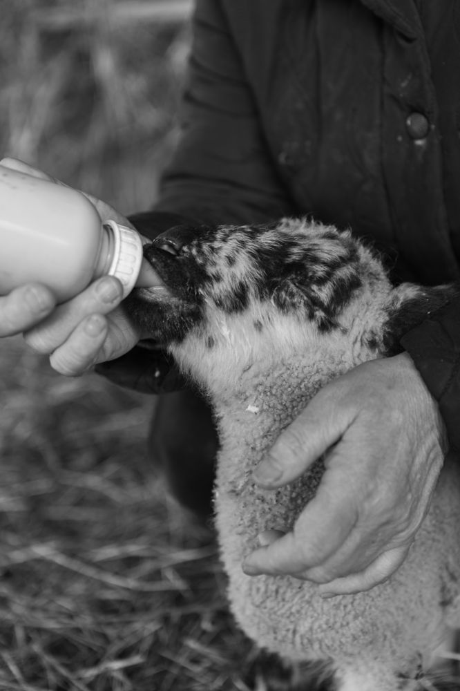 Photograph by Ivars Salmanis