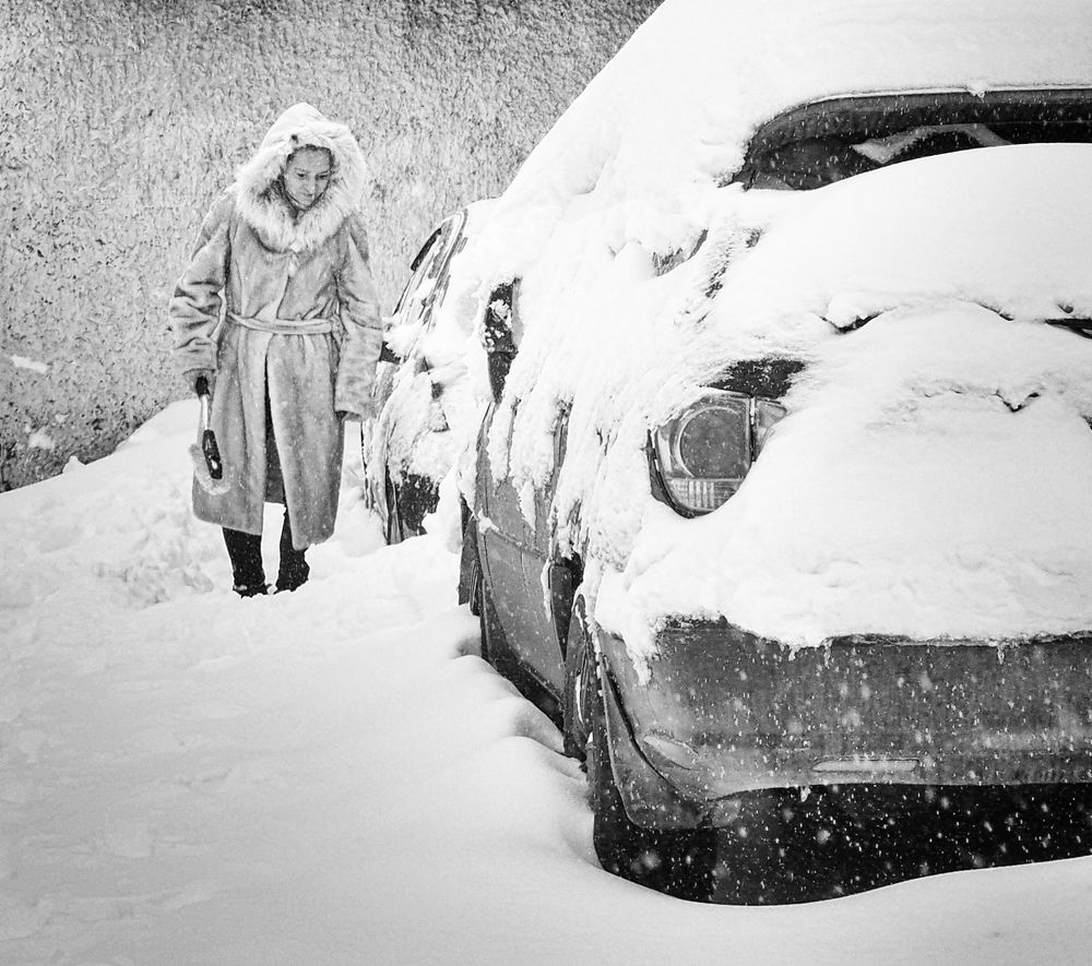 Фотография автора Елена Лаврова