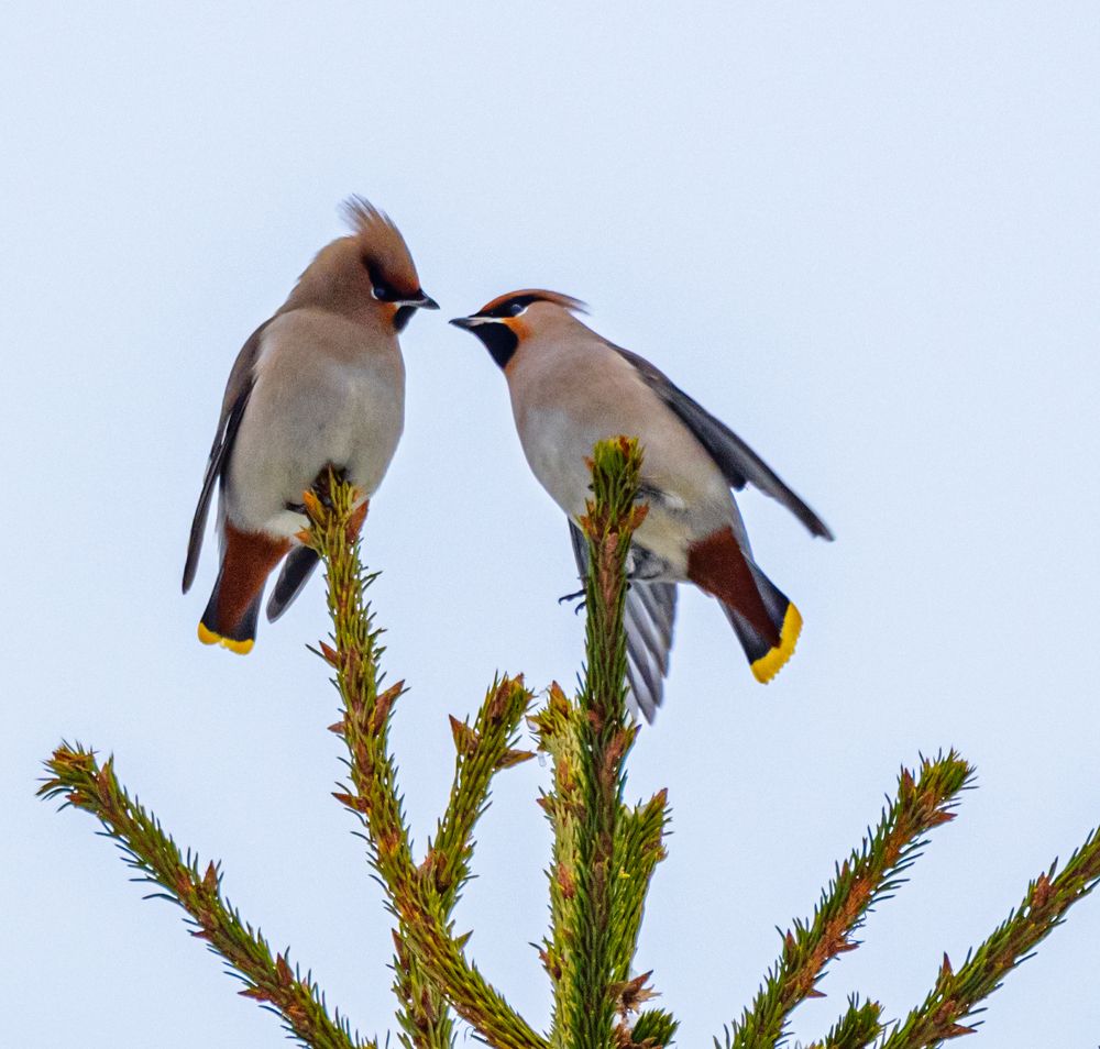 Photograph by Курлянцев Алексей