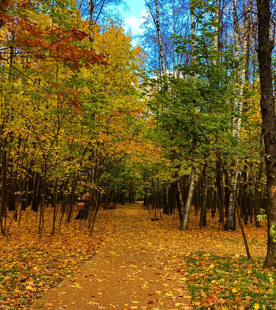Фотография автора Илья