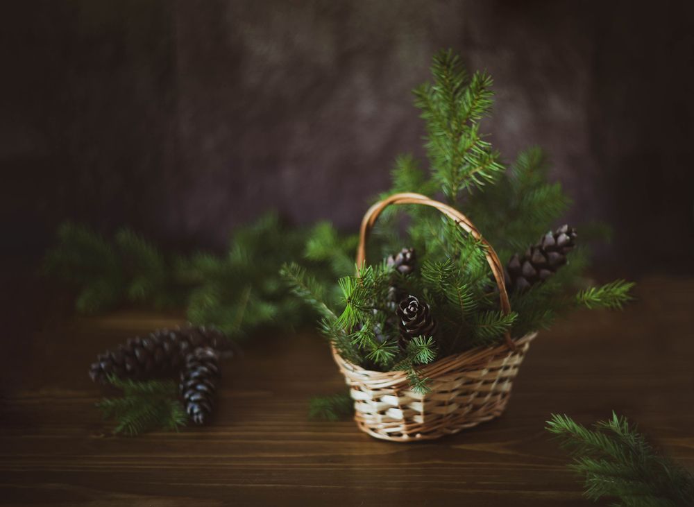 Photograph by Оксана Ткачёва