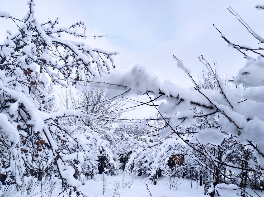 Photograph by Надежда Болтунова