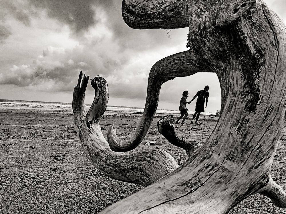 Фотография автора DK Camography