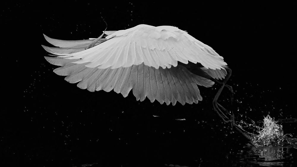 Photograph by Benny Chan