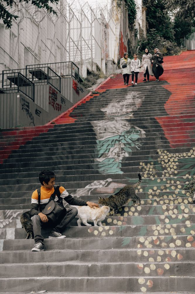 Photograph by mevlüt bilir