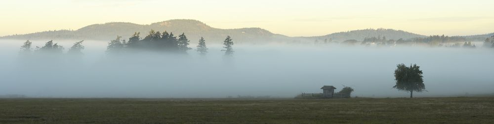 Photograph by Morring David