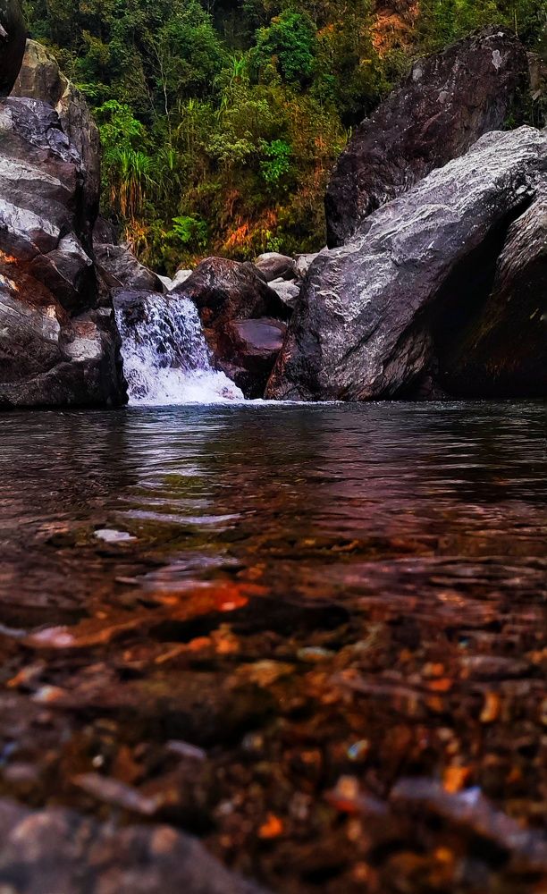 Photograph by Amalesh Saha