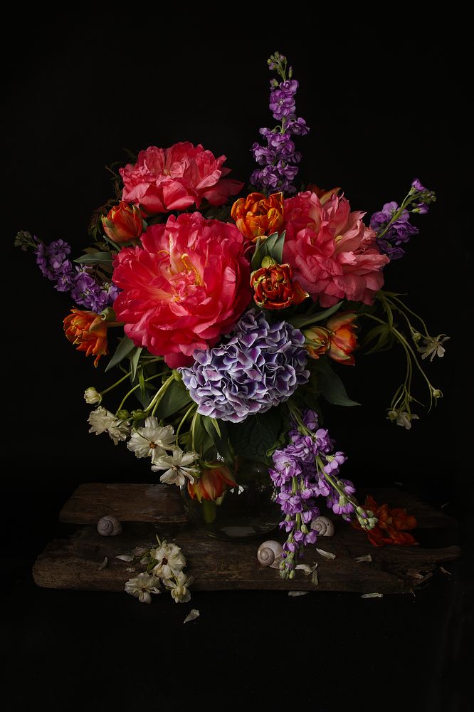 Фотография автора Marina Krasovska