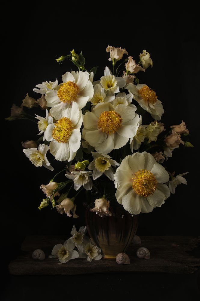 Фотография автора Marina Krasovska