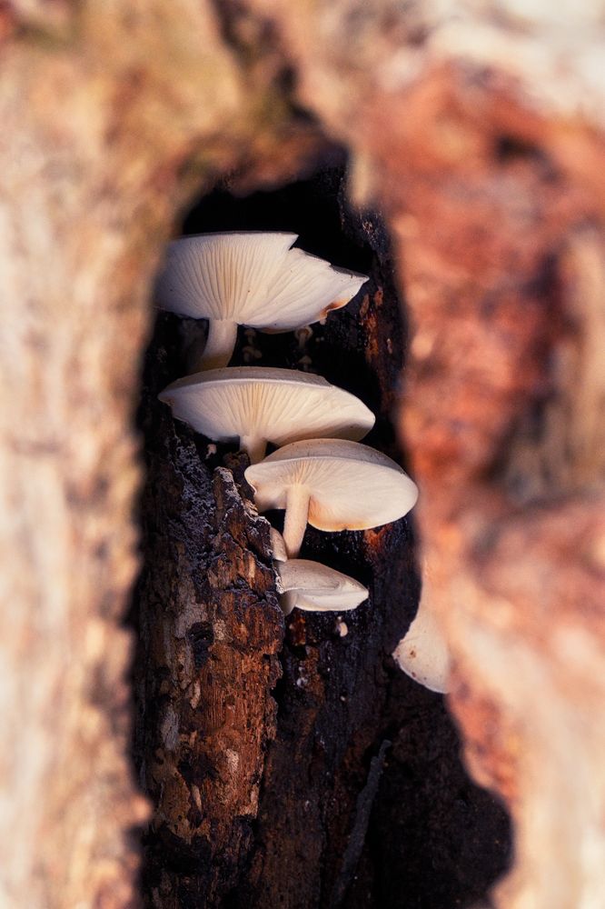 Photograph by Morring David