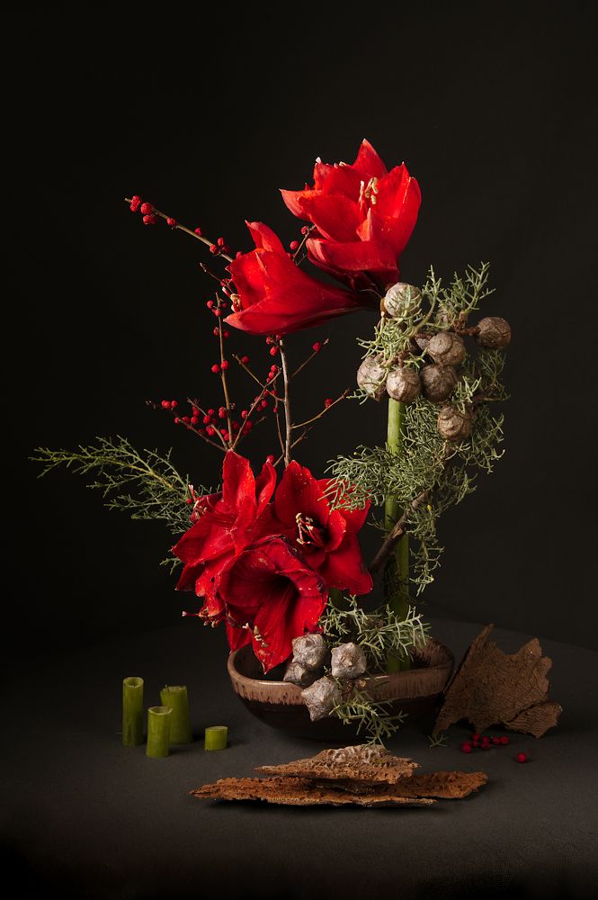 Фотография автора Marina Krasovska