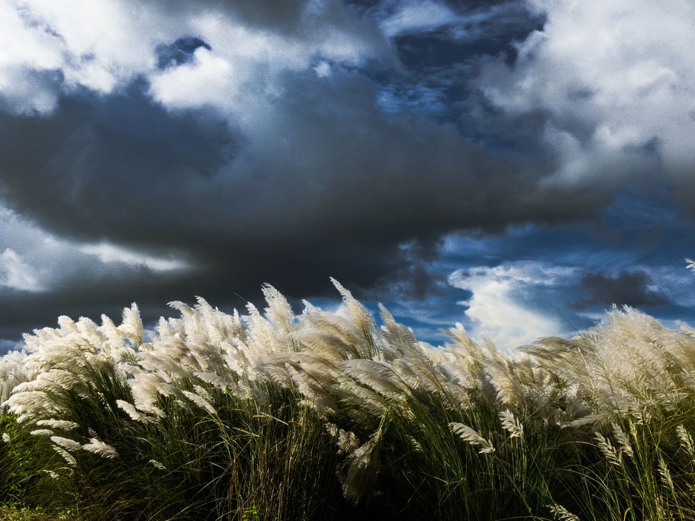 Photograph by SANJAY SINGH