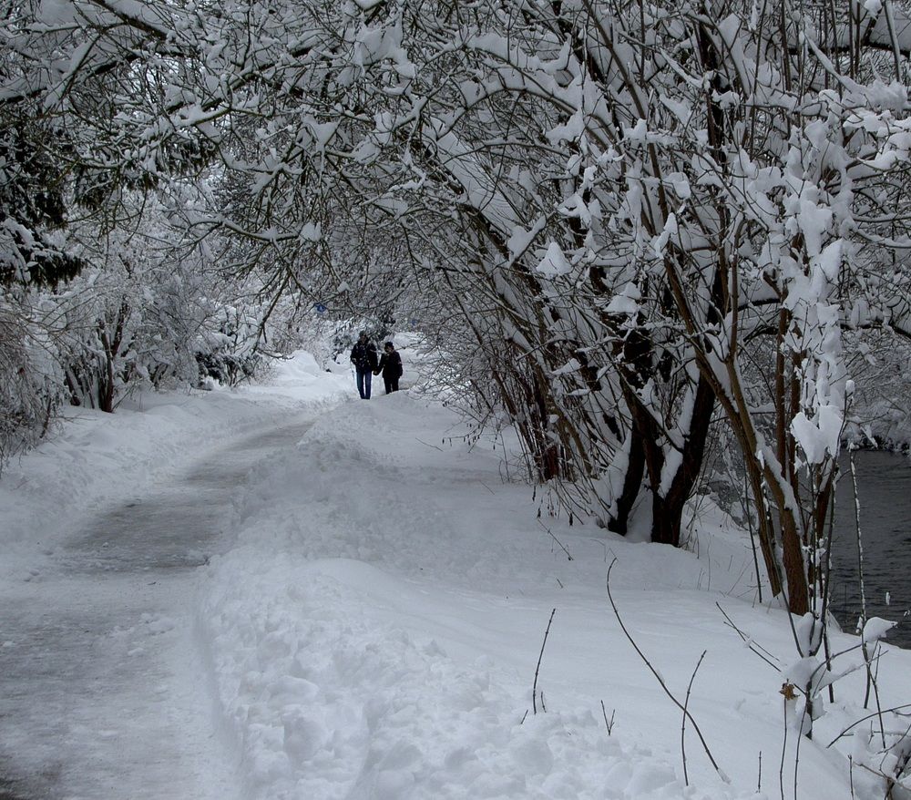 Photograph by Марина Регенспергер