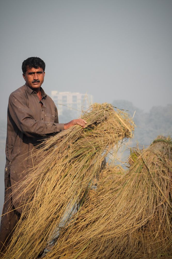 Photograph by Najaf Faraz