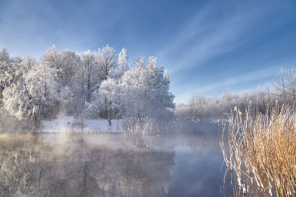 Photograph by Alla Matrosova