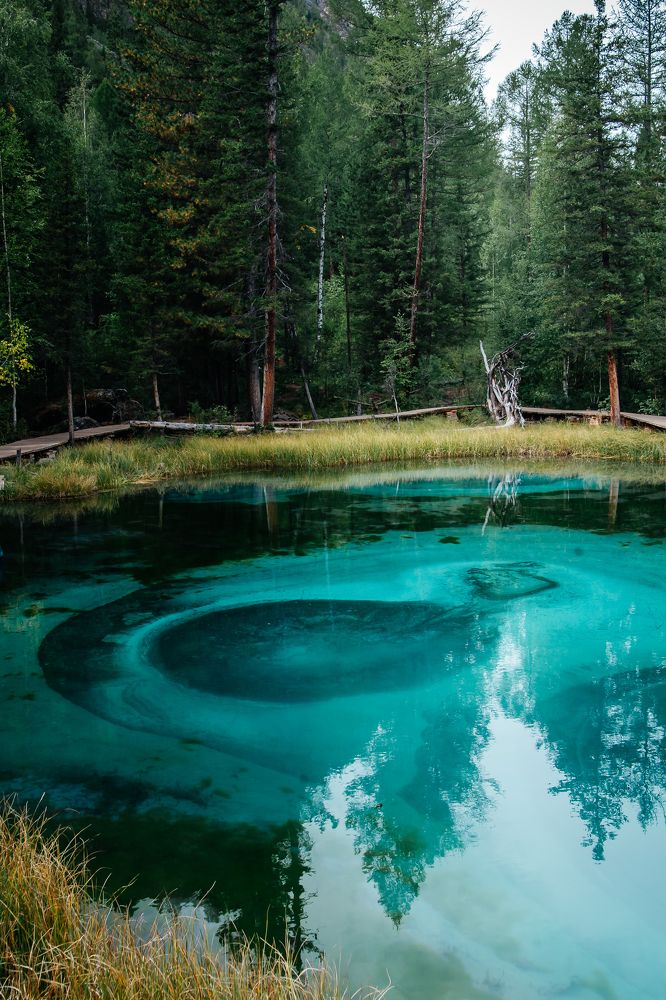 Photograph by Ирина Ладо