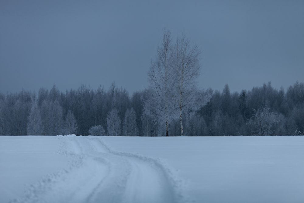 Photograph by Ольга Денисова