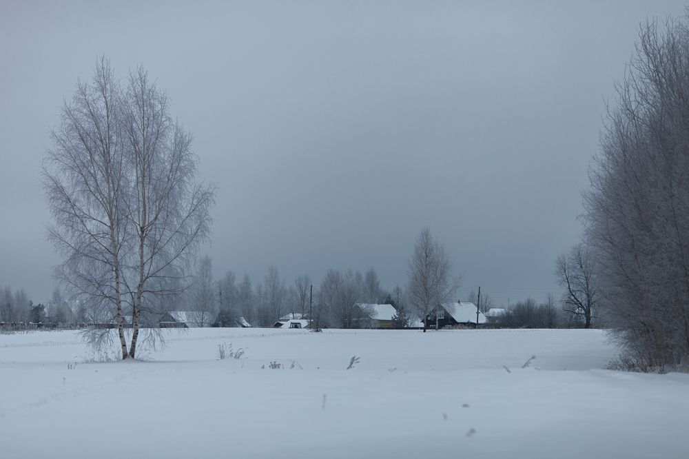 Photograph by Ольга Денисова